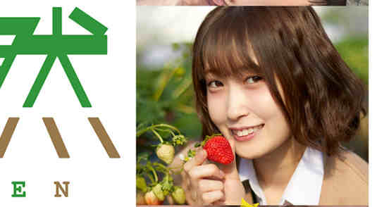 504TNNN-004