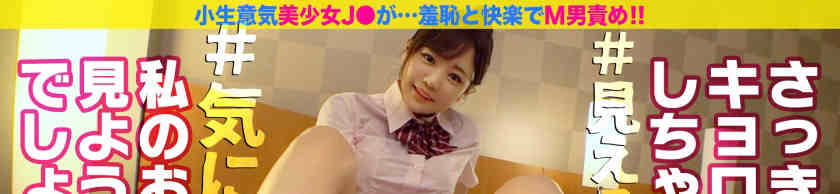 FCP-040