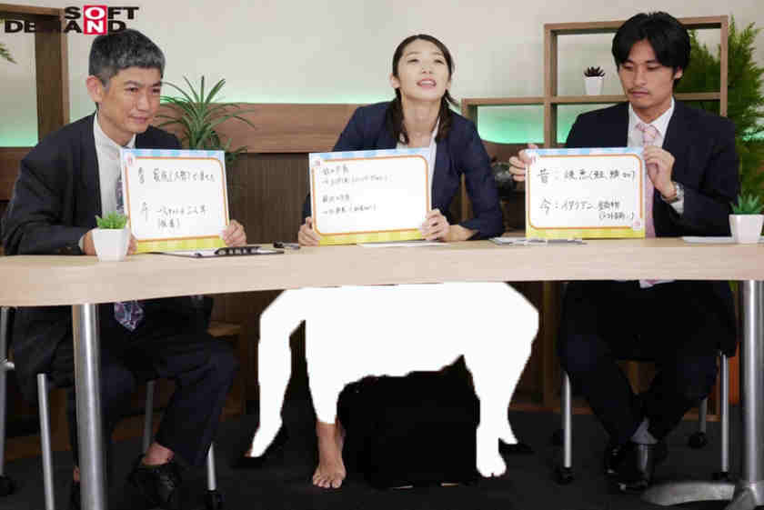 107SDDE-553丝袜美腿OL