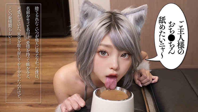 702AIAV-025