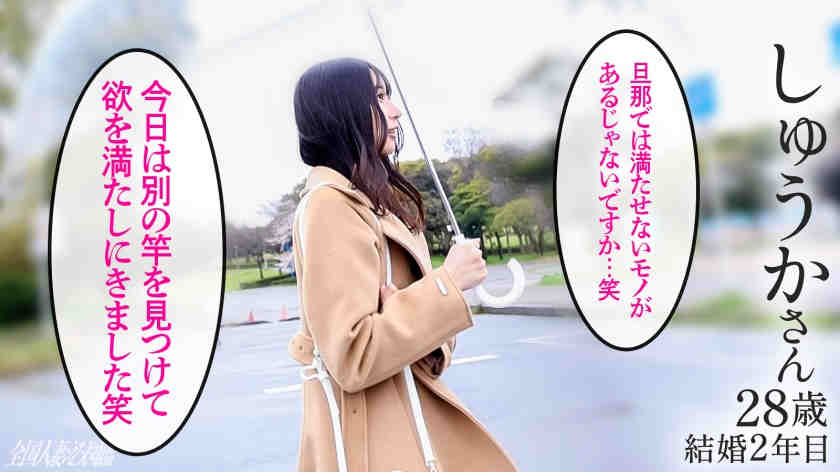 336KNB-379